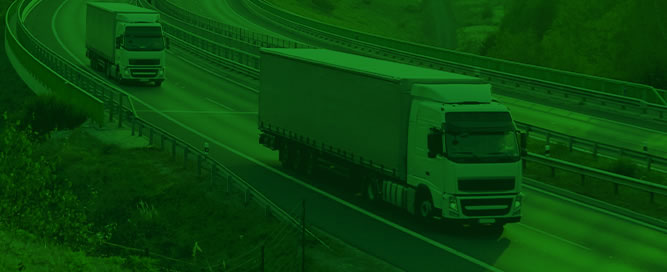 servicio regional